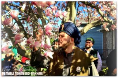 الشيخ لقمان مع شجرة الورود