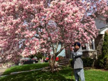 الشيخ لقمان مع شجرة الورود.jpg2